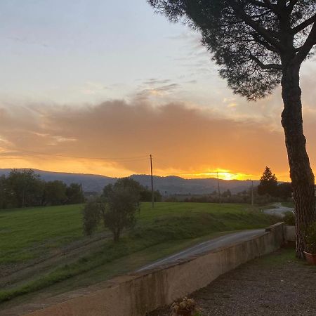Tognazzi Casa Vacanze - La Collina Di San Gimignano Buitenkant foto